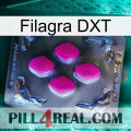 Filagra DXT 02